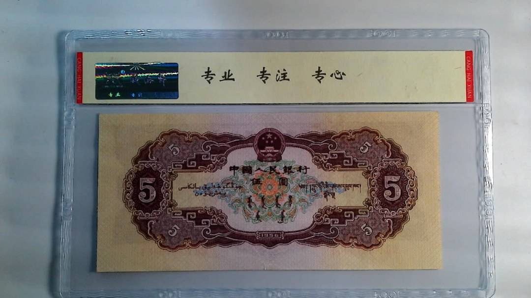 1956年 伍圆