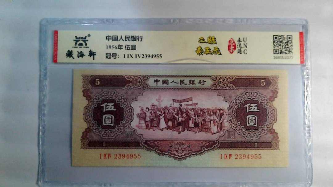 1956年 伍圆