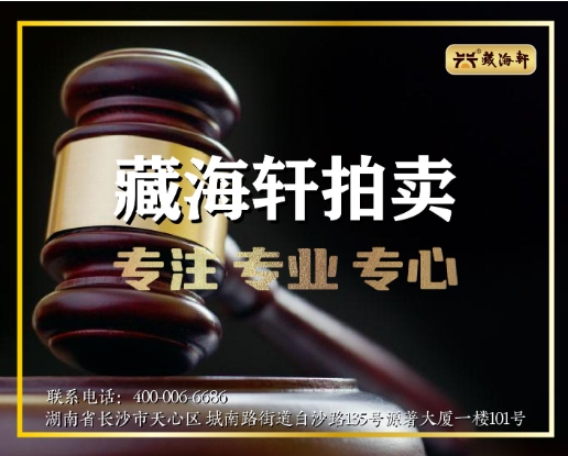 藏海轩拍卖